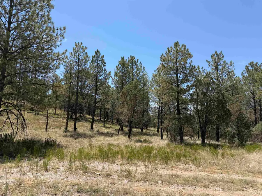 24 Edgewood Rd, Timberon, NM 88350 - #3