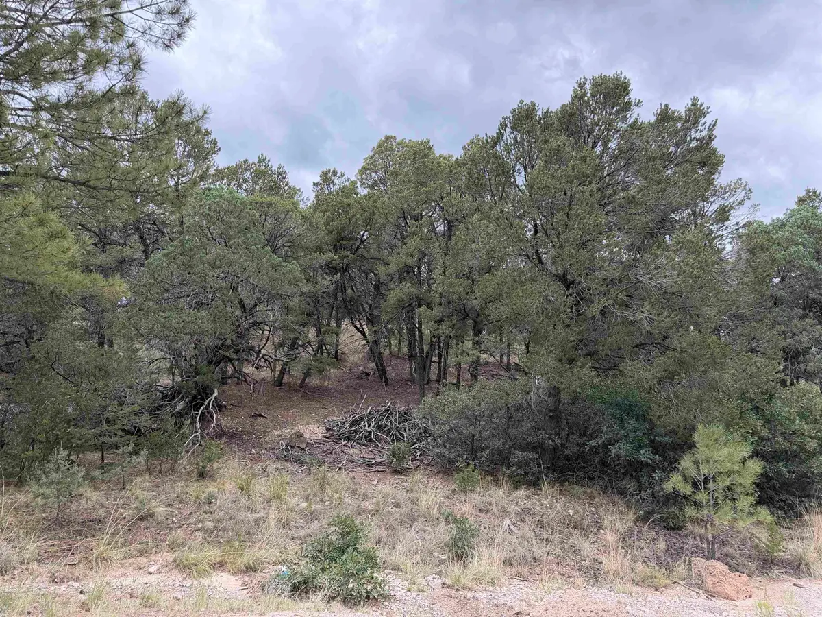 201 Chresta Loma DR, Timberon, NM 88350 - #1