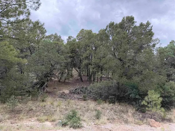 201 Chresta Loma DR, Timberon, NM 88350