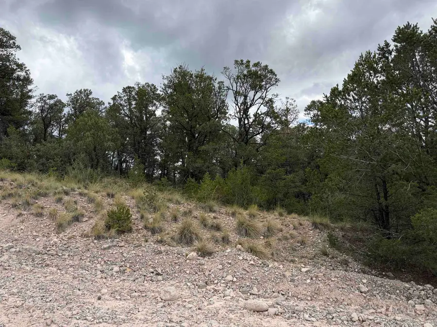 201 Chresta Loma DR, Timberon, NM 88350 - #2
