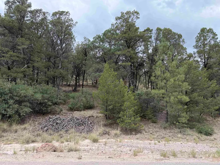 201 Chresta Loma DR, Timberon, NM 88350 - #3