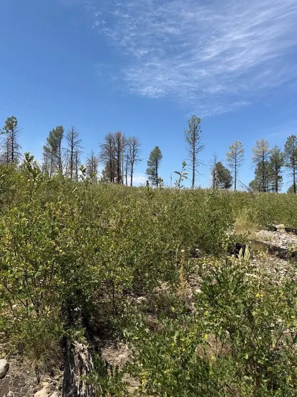 8 Movac Loop, Timberon, NM 88350