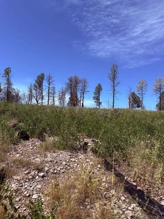 8 Movac Loop, Timberon, NM 88350 - #2