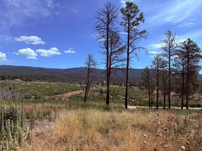 8 Movac Loop, Timberon, NM 88350 - #3