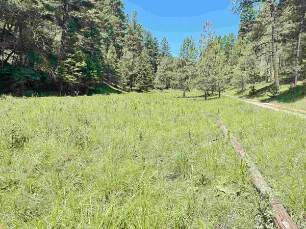 235 Dark Canyon RD, Cloudcroft, NM 88317-0000