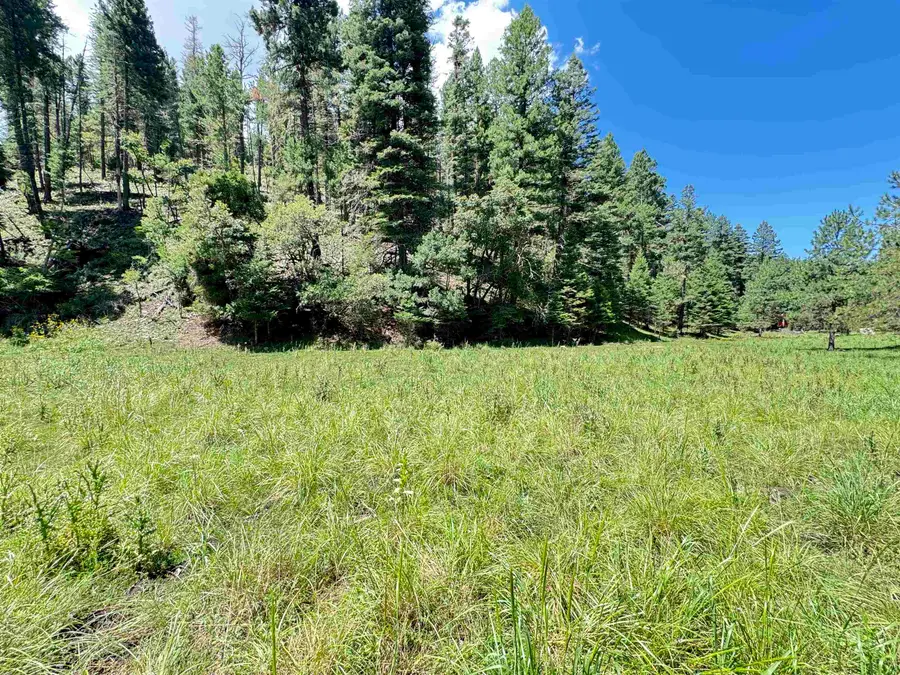 235 Dark Canyon RD, Cloudcroft, NM 88317-0000 - #2