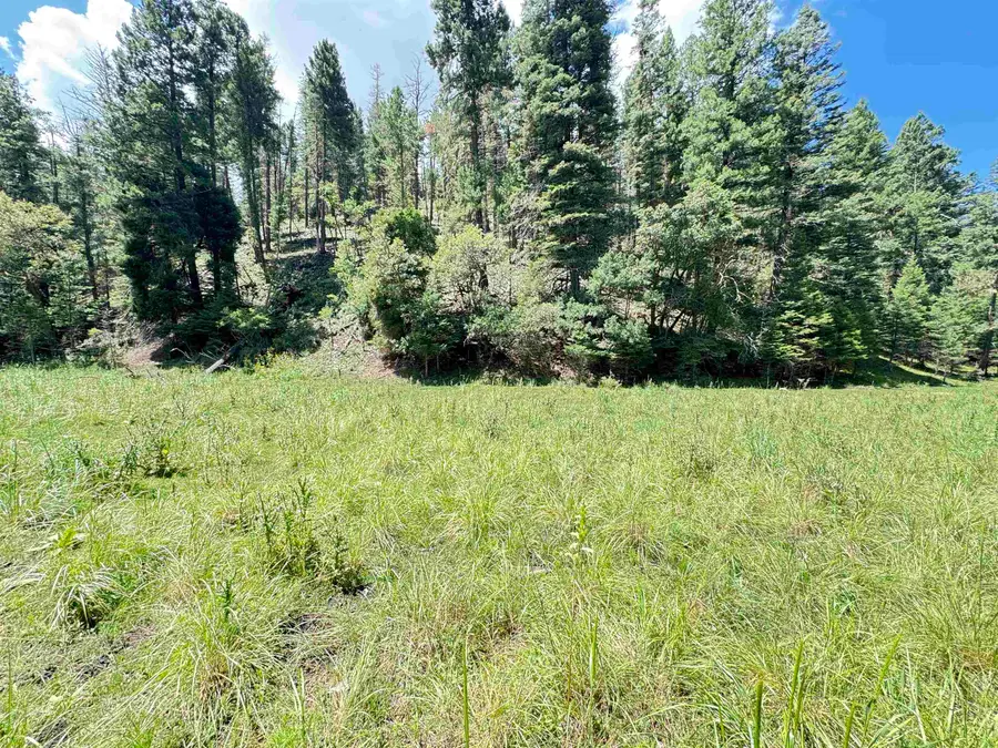 235 Dark Canyon RD, Cloudcroft, NM 88317-0000 - #3