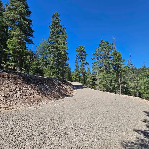 Lot 28 Clear Nite Rd, Cloudcroft, NM 88317-0000