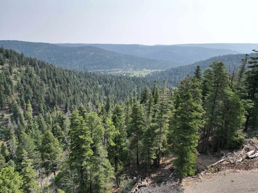 Lot 28 Clear Nite Rd, Cloudcroft, NM 88317-0000 - #2
