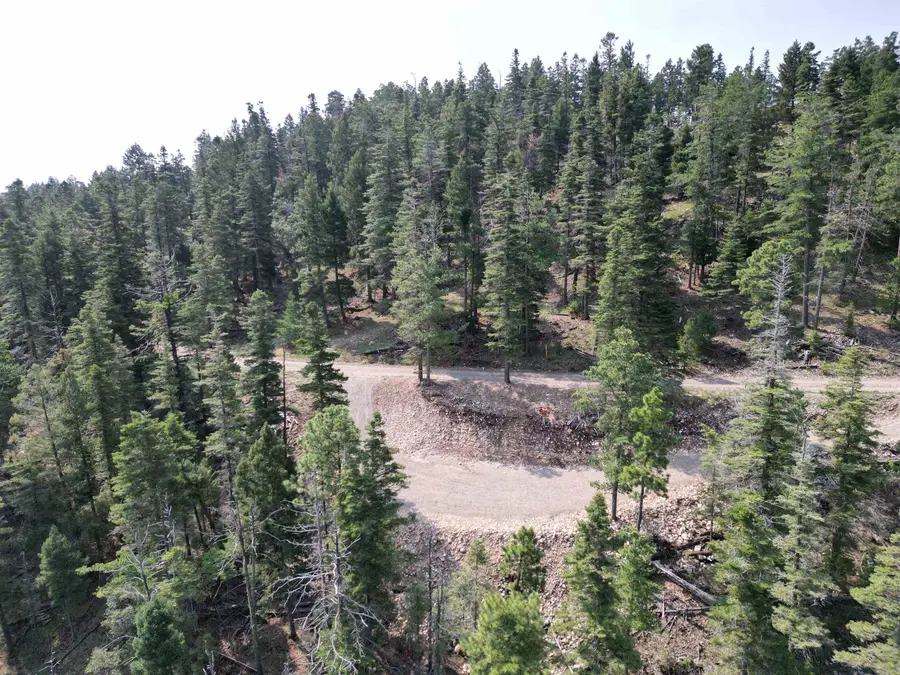 Lot 28 Clear Nite Rd, Cloudcroft, NM 88317-0000 - #3