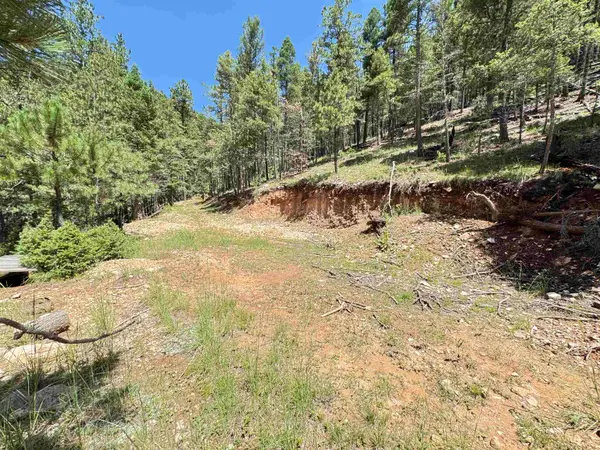 230A Dark Canyon RD, Cloudcroft, NM 88317-0000