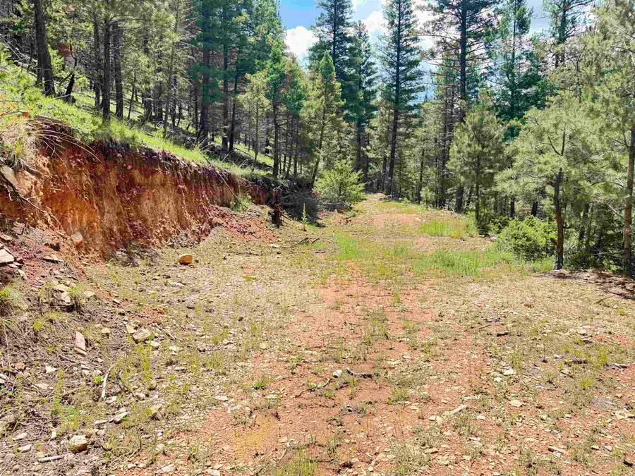230A Dark Canyon RD, Cloudcroft, NM 88317-0000 - #2