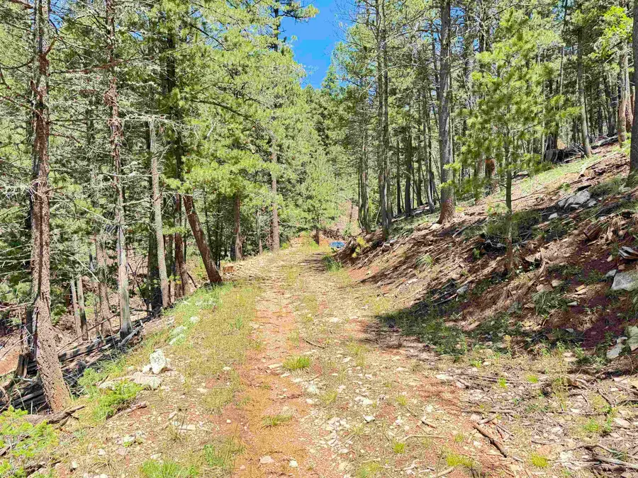 230A Dark Canyon RD, Cloudcroft, NM 88317-0000 - #3