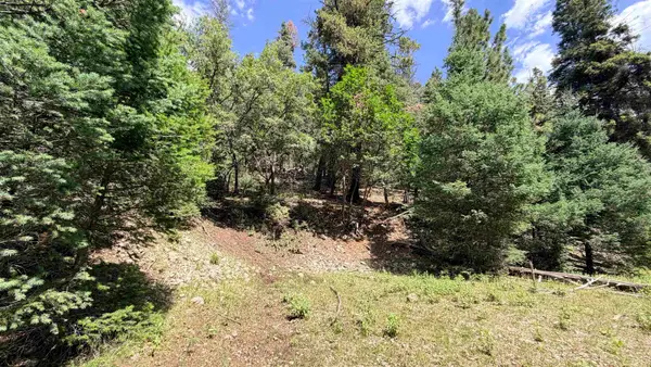 Raspberry Hill Rd, Cloudcroft, NM 88317
