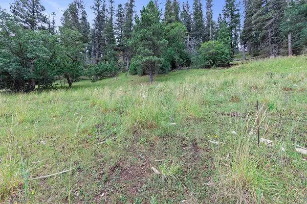 Lot 19 Trading Post Rd, Cloudcroft, NM 88317