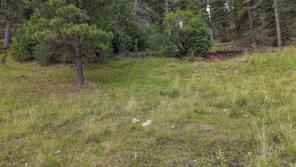 Lot 40 Trading Post Rd, Cloudcroft, NM 88317
