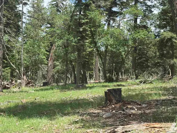 Jim Tom Way, Cloudcroft, NM 88317-0000