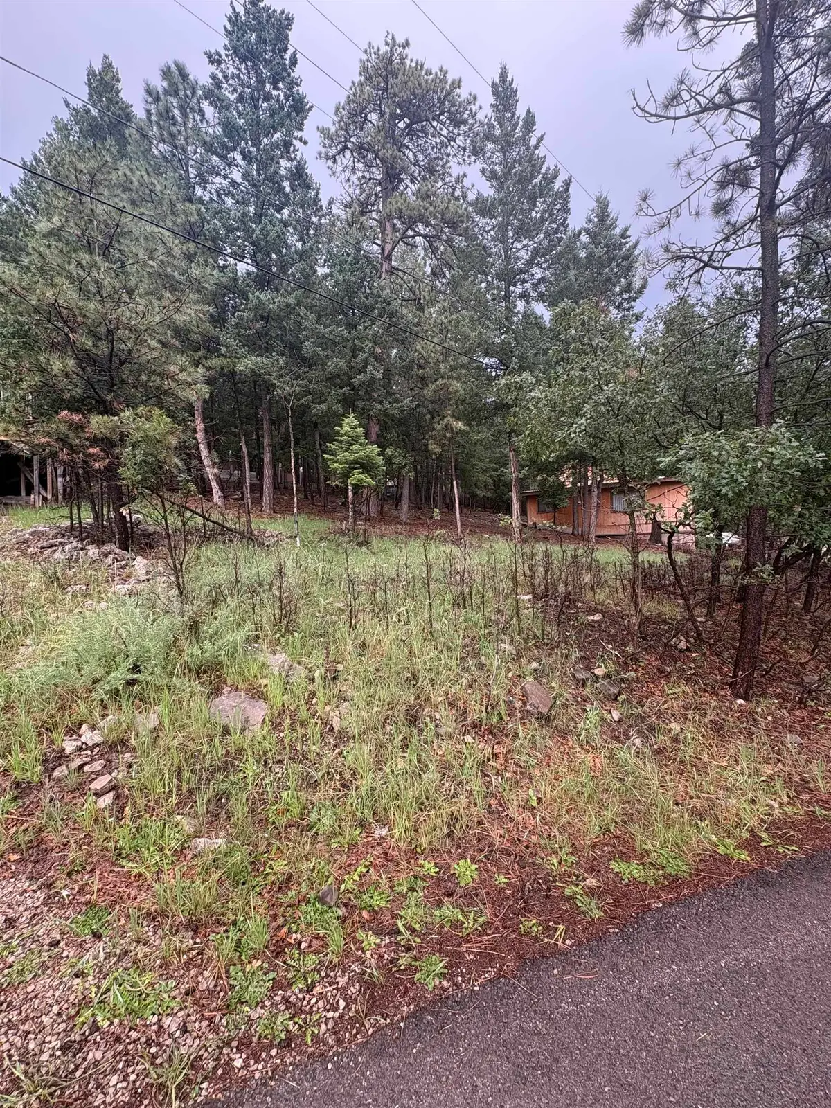 1106 Burro AVE, Cloudcroft, NM 88317-0000 - #1
