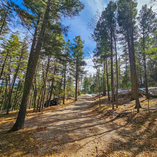00 Lee Cir, Cloudcroft, NM 88317-0000
