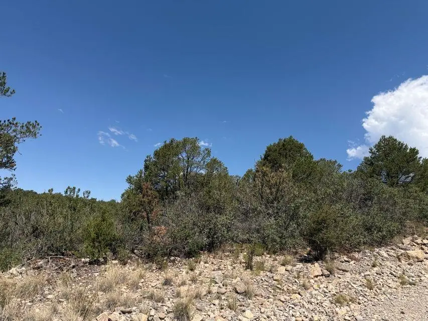 Canyon Dr, Timberon, NM 88350 - #1