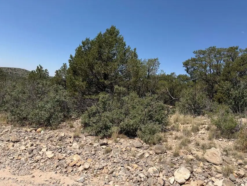 Canyon Dr, Timberon, NM 88350 - #2