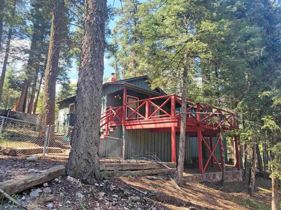 101 Otter Ave, Cloudcroft, NM 88317 - #2