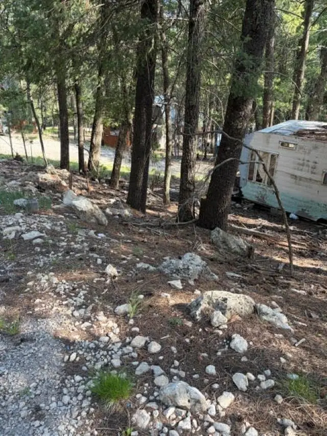 Sunset Strip, Cloudcroft, NM 88317-9800 - #1