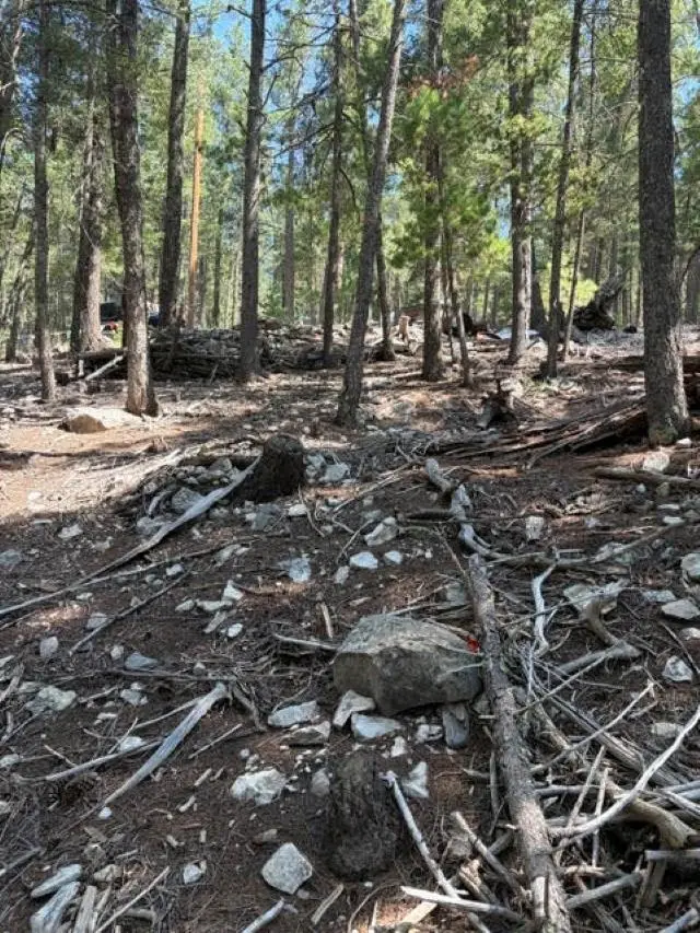 Straight St, Cloudcroft, NM 88317-9800 - #2