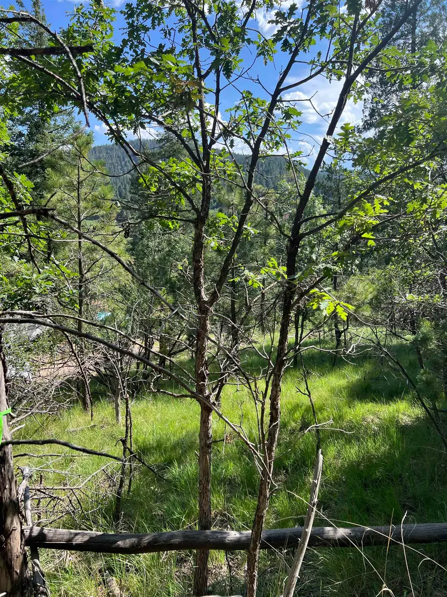 9 Platinum Strip, Cloudcroft, NM 88317 - #2