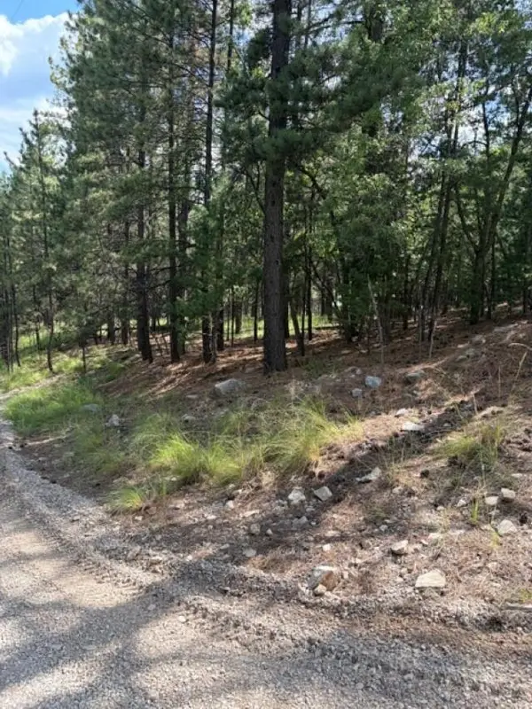 Lariat Rd, Mayhill, NM 88339