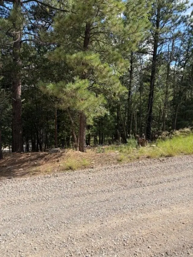 Lariat Rd, Mayhill, NM 88339 - #2