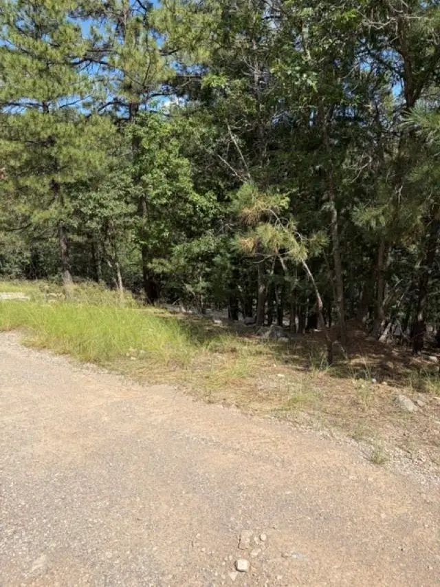 Lariat Rd, Mayhill, NM 88339 - #3