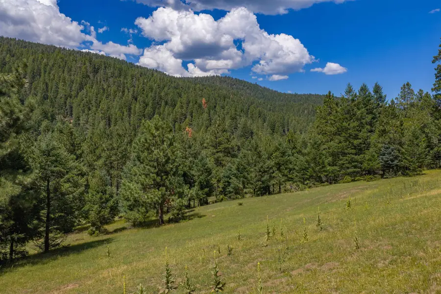940 Upper Rio Penasco Rd, Cloudcroft, NM 88317-0000 - #3
