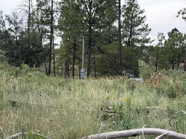 Pawnee Dr, Timberon, NM 88350