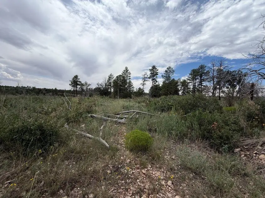 Pawnee Dr, Timberon, NM 88350 - #2