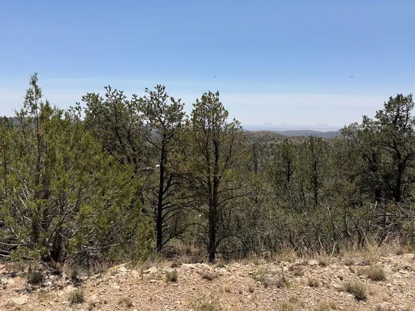 Mountainaire Dr, Timberon, NM 88350 - #2