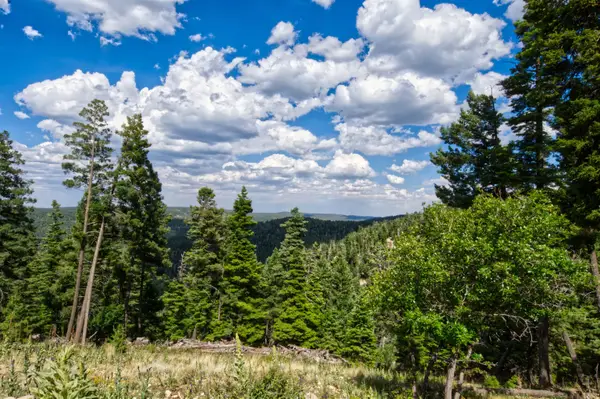 33 Clear Sky RD, Cloudcroft, NM 88317-0000