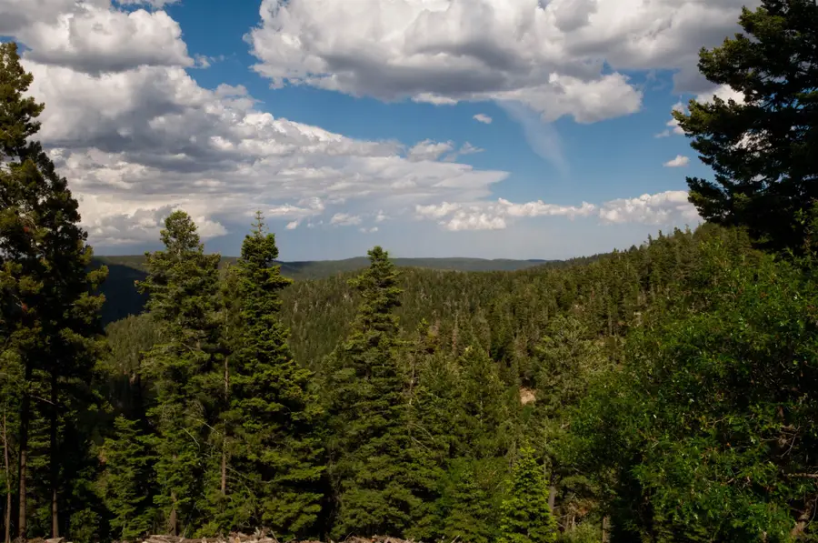 33 Clear Sky RD, Cloudcroft, NM 88317-0000 - #2