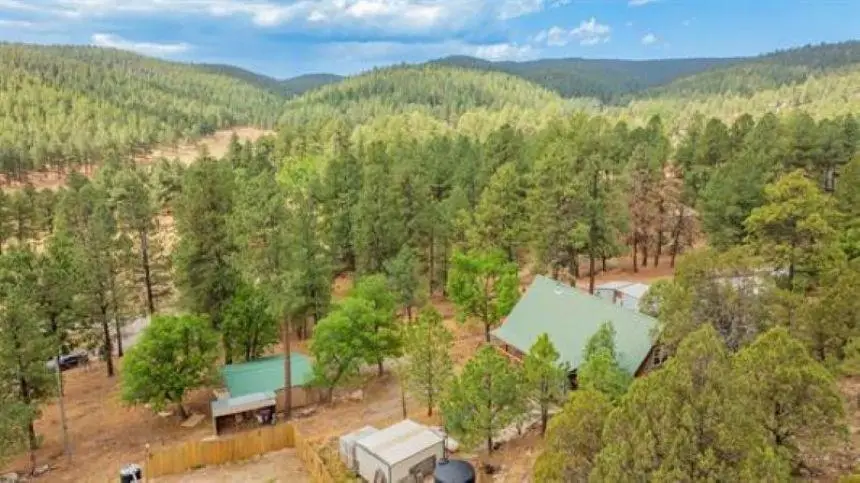 611 16 Springs Canyon Rd, Cloudcroft, NM 88317-0000 - #3
