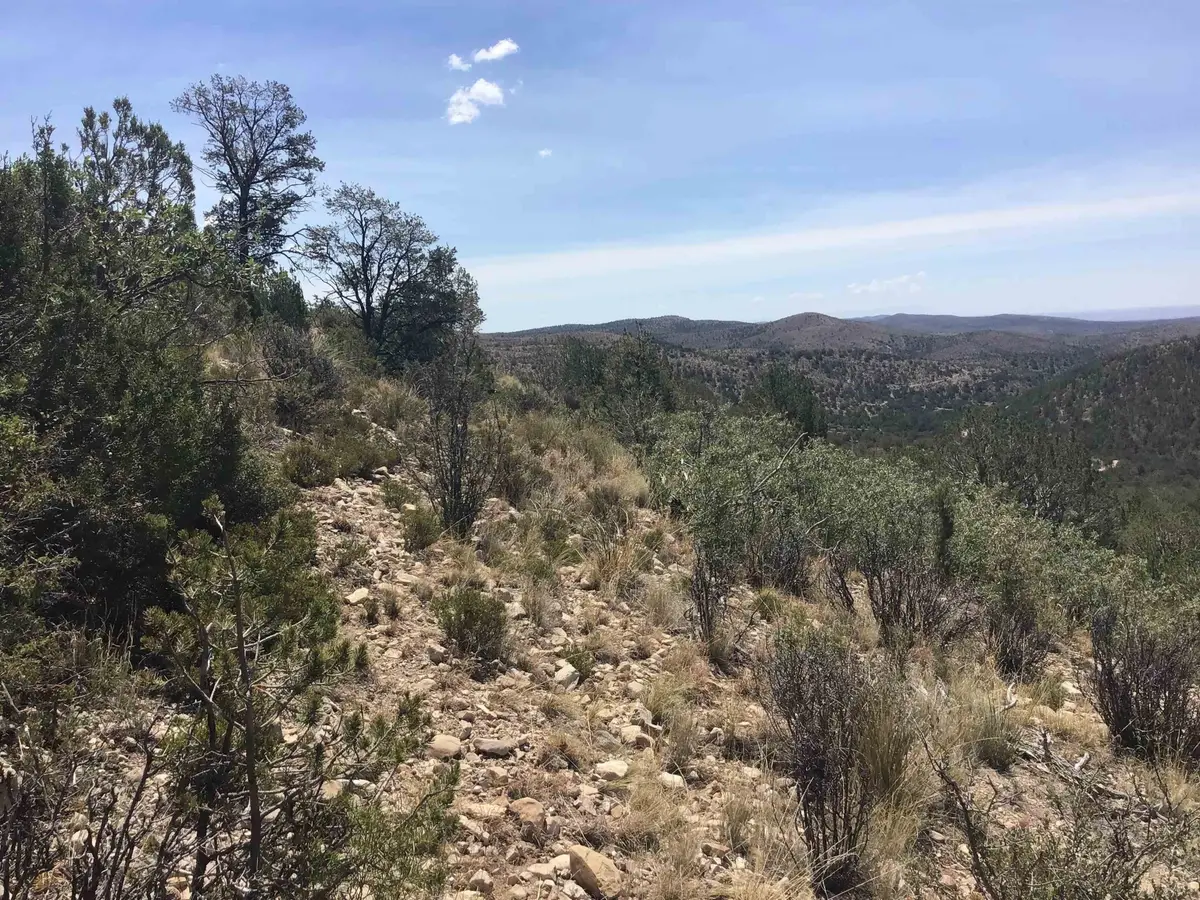 Mountainaire Dr, Timberon, NM 88350 - #1