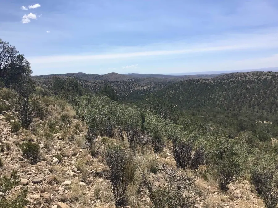Mountainaire Dr, Timberon, NM 88350 - #2