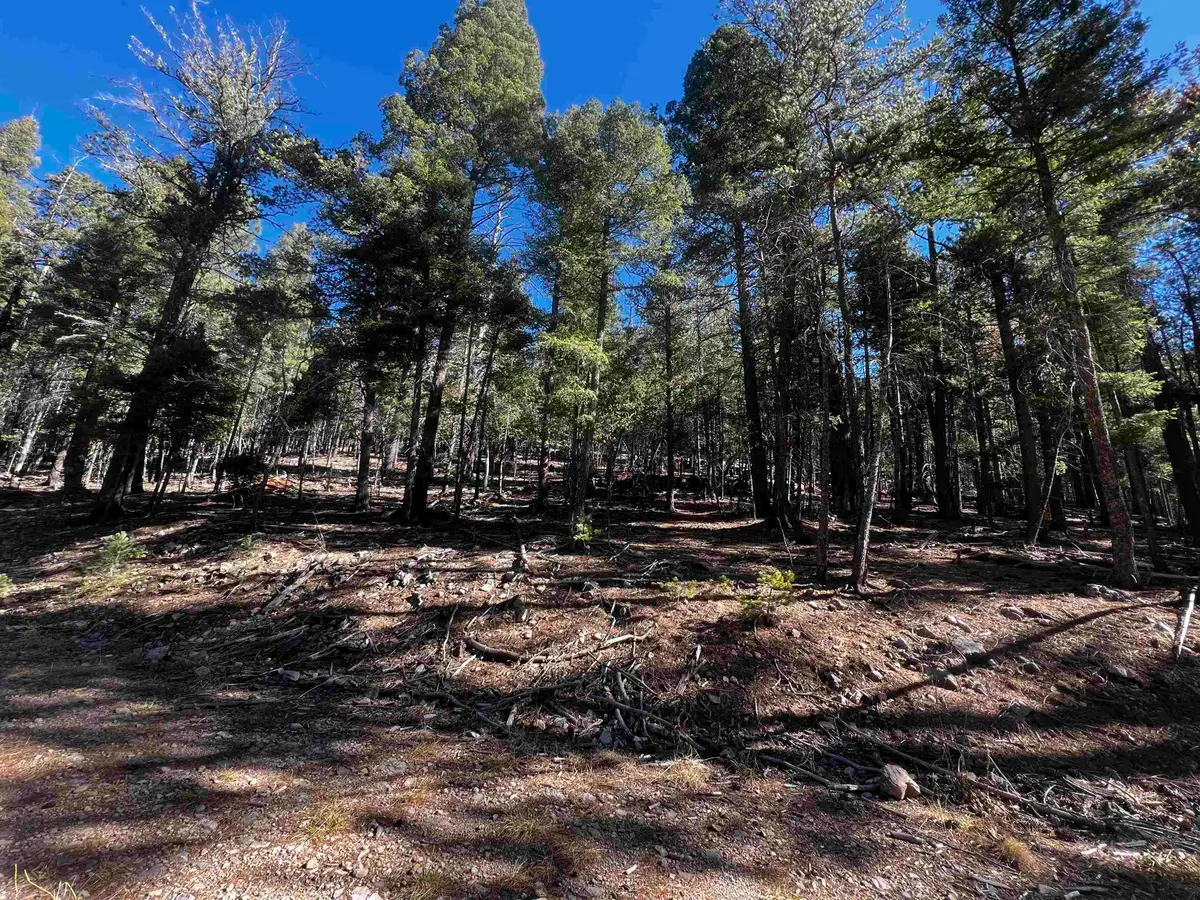 42 Forest View Rd, Cloudcroft, NM 88317 - #1