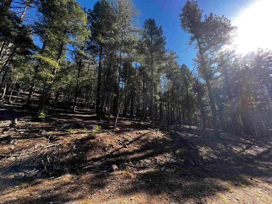 42 Forest View Rd, Cloudcroft, NM 88317 - #2