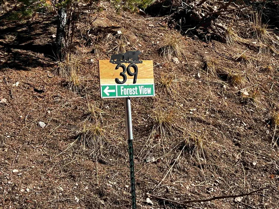 42 Forest View Rd, Cloudcroft, NM 88317 - #3