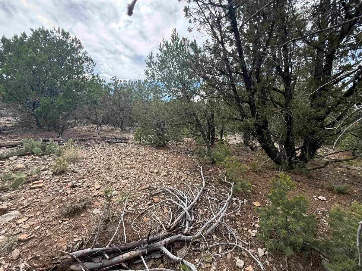 70 Mogollon Trl, High Rolls Mountain Park, NM 88325 - #1