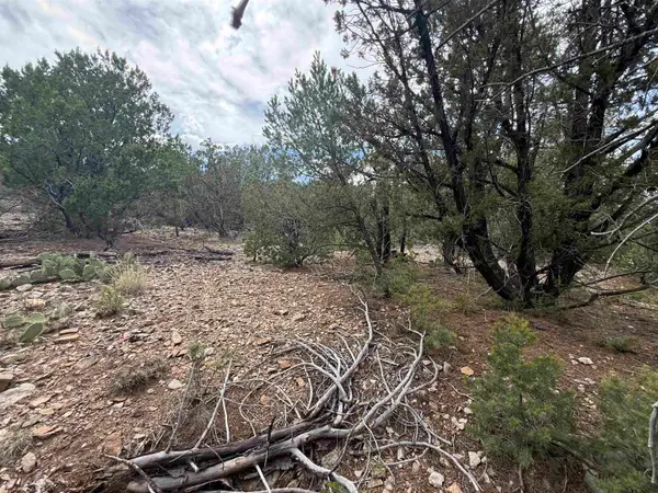 70 Mogollon Trl, High Rolls Mountain Park, NM 88325