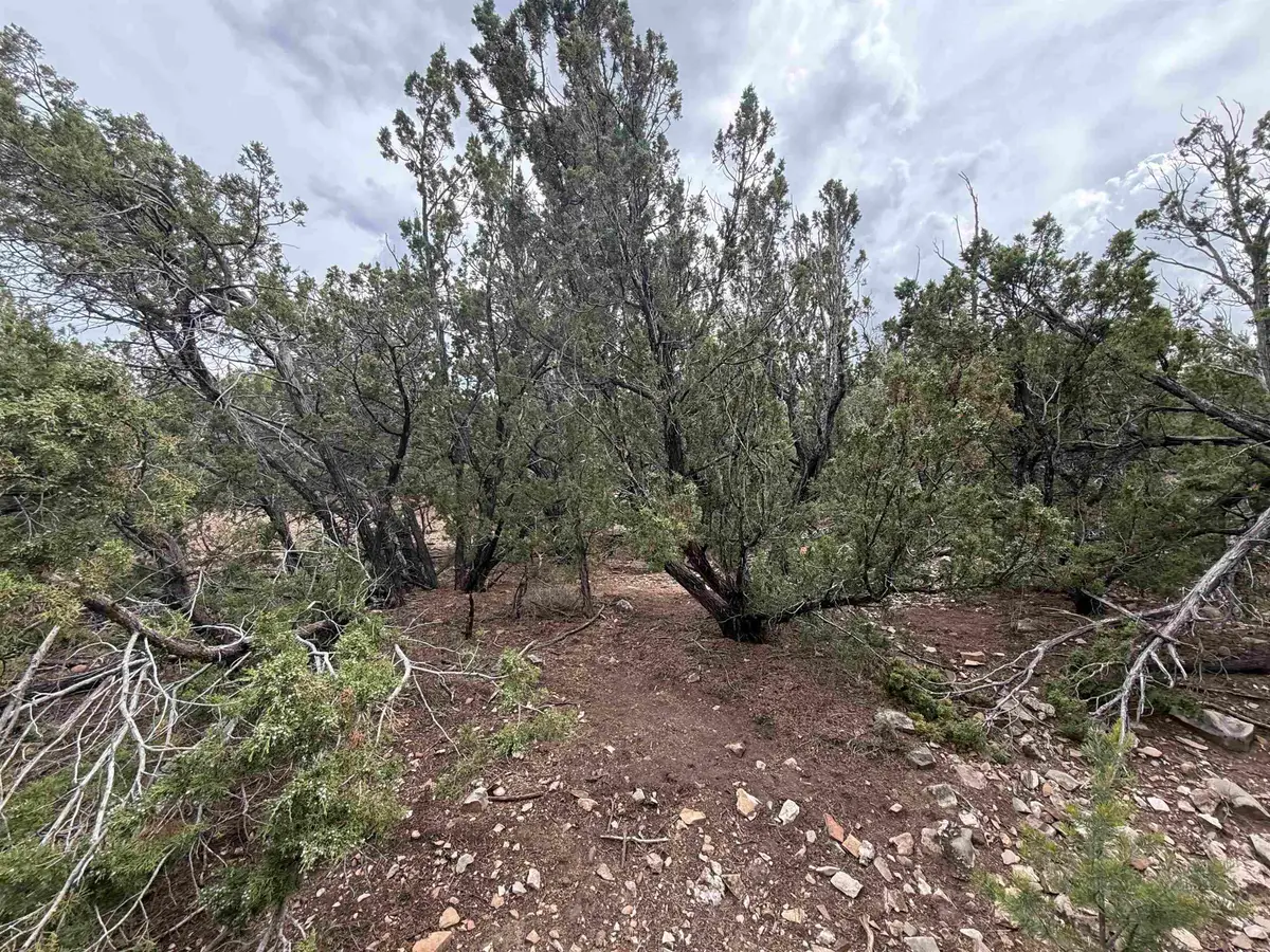 68 Mogollon Trl, High Rolls Mountain Park, NM 88325 - #1