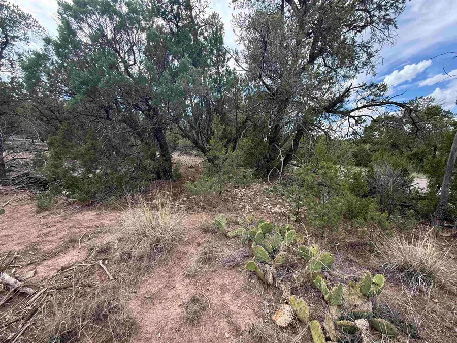 68 Mogollon Trl, High Rolls Mountain Park, NM 88325 - #2