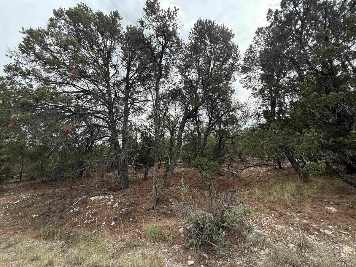 66 Mogollon Trl, High Rolls Mountain Park, NM 88325 - #1