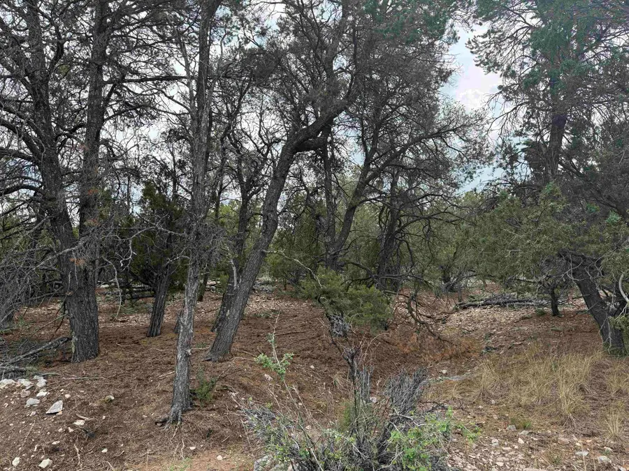 66 Mogollon Trl, High Rolls Mountain Park, NM 88325 - #2